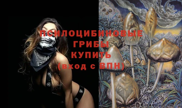 первитин Алексеевка