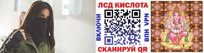 kraken зеркало  хочу наркоту  Петровск-Забайкальский  Марки NBOMe 1,5мг 