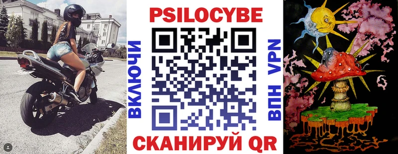 наркотики  Петровск-Забайкальский  mega сайт  Галлюциногенные грибы Cubensis 
